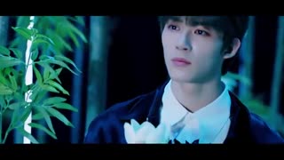 موزیک ویدیو Magnolia از TOO