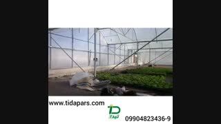 دستگاه کاشت بذر در سینی نشا