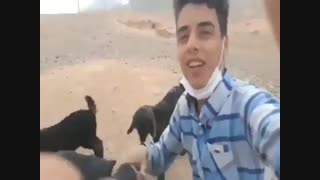 تصنیف زیبای چوپان آقای سروش رضایی: هرگز نمیشد باورم این برف پیری بر سرم