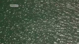 مستند میراث | درباره منابع طبیعی و محیط زیست استان البرز | زیبا و جالب