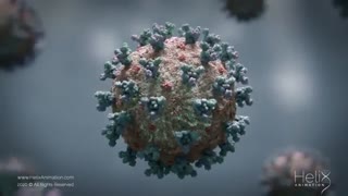 ویروس SARS CoV-2