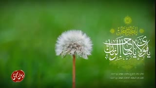 ظهور برای چه کسانی جشن حقیقی است؟ | استاد پناهیان