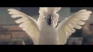 اولین تیزر منتشرشده آهنگDUMDI DUMDI جی آیدل+کپ مهم