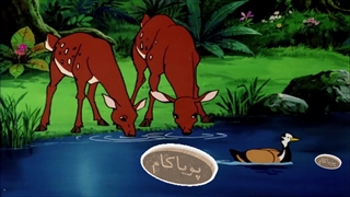 کتاب جنگل - 25