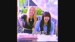 تازه اومدم نماشا