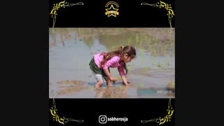 خار کیجا از ابی ابراهیمی