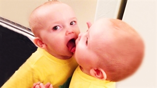 کلیپی از واکنش کودکان به آیینه در یک نگاه