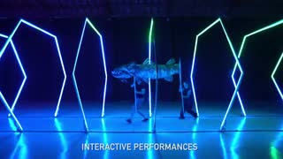 اینستالیشن آرت یا هنر چیدمان (Installation art)