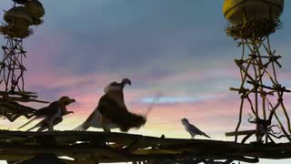 تریلر انیمیشن زامبزیا | Zambezia 2012 دانلود در  [ www.FaceMovie.ir ]