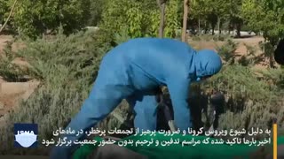 تدفین قربانیان کرونا در شیراز