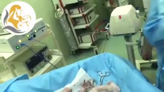 سزارین نوزاد حاصل آی وی اف