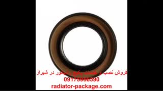 نصب دودکش پکیج شوفاژ دیواری -نمایندگی تعمیرات پکیج ایران رادیاتور بوتان در شیراز