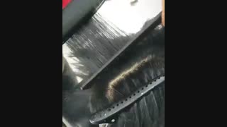 صاف کردن مو با کراتینه قیمت  09123019243