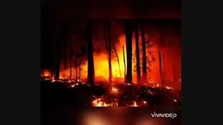 تیزر آتش سوزی جنگل ها