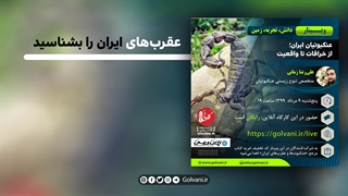 عقربهای ایران را بشناسید