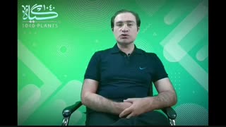 چگونه با طب سنتی خواب آرامی داشته باشیم؟