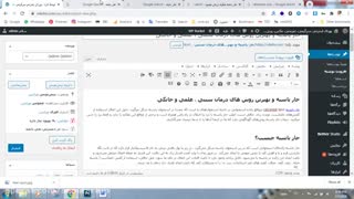 آموزش سئو ، تولید محتوا و آپلود در وردپرس کاملا پروژه محور