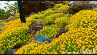 دکلمه ترکی دوز انسان