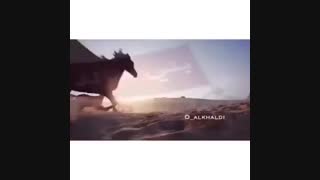 عشیره الفریح من فخذ المهاشیر قبیله بنی خالد