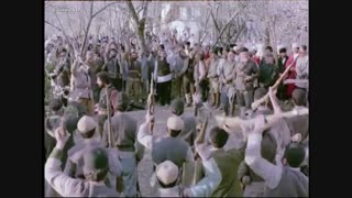 کوچک جنگلی  5