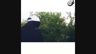 نکته کلیدی آفت کنه زنگ در باغ انار