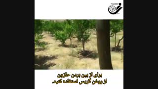 یک روش کلیدی برای ازبین بردن حلزون