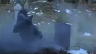 تریلر فیلم شوالیه سایه ها : میان یین و یانگ | The Knight of Shadows 2019 دانلود در  [ www.FaceMovie.ir ]