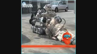 ربات خرسی