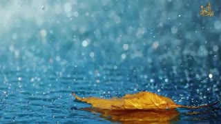 علائم هشدار دهنده نشانه های گفتاری و رفتاری خواستگار