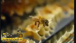 بره موم خام، از کندو تا بسته بندی