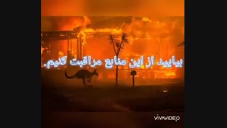 آتش سوزی جنگل ها