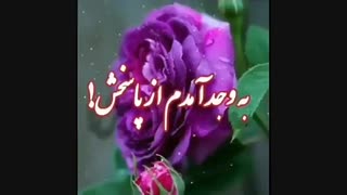فرجامت نیک لیفت صورت