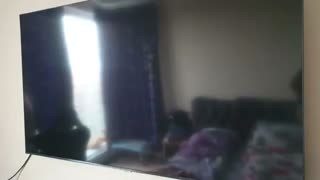 قیمت تلویزیون سامسونگ 55TU7100