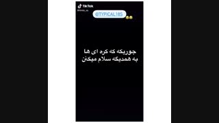 سلام کردن یک آمریکایی به یک کره ای XD