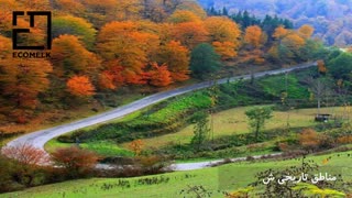 معرفی کامل شهر دیلمان