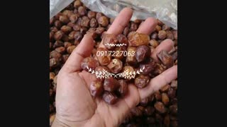 فروش خرمای ربی در ایرانشهر