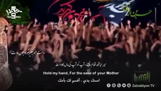 منو ببر کربلا - حمید علیمی | مترجمة للعربیة | English Urdu Subtitles