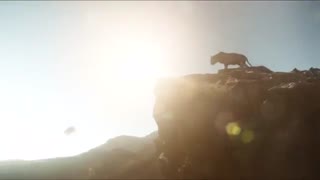 صداپیشه مجید حبیبی ، کتاب جنگل ، گرگ و ببر