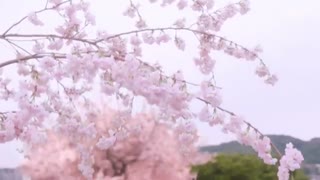 قسمت دهم (آخر) سریال ژاپنی برادران فضایی توکیو Tokyo Alien Bros 2018