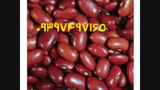 فروش لوبیا چیتی عمده با کیفیت