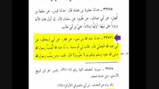 توهین به امیرالمومنین و پیروان آن حضرت توهین به رسول خداست