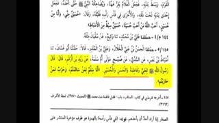 جنگ با امیرالمومنین جنگ با رسول خداست