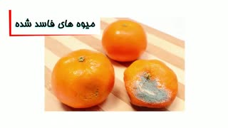 چه چیزهایی باعث جذب مگس به خانه می شوند؟ | سم قوی و تخصصی دفع مگس