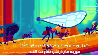 قویترین سم مورچه در برابر قویترین گونه مورچه