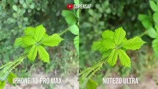 مقایسه دوربین Galaxy Note 20 Ultra و iPhone 11 Pro Max
