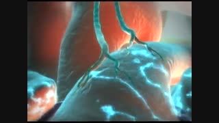 زندگی های مفرط