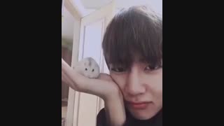 چالش دختر مغرور