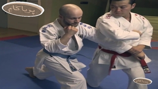 نکاتی در یک کاتا