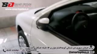 آپشن های پژو 206