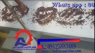 نوار نقاله دستچین حبوبات